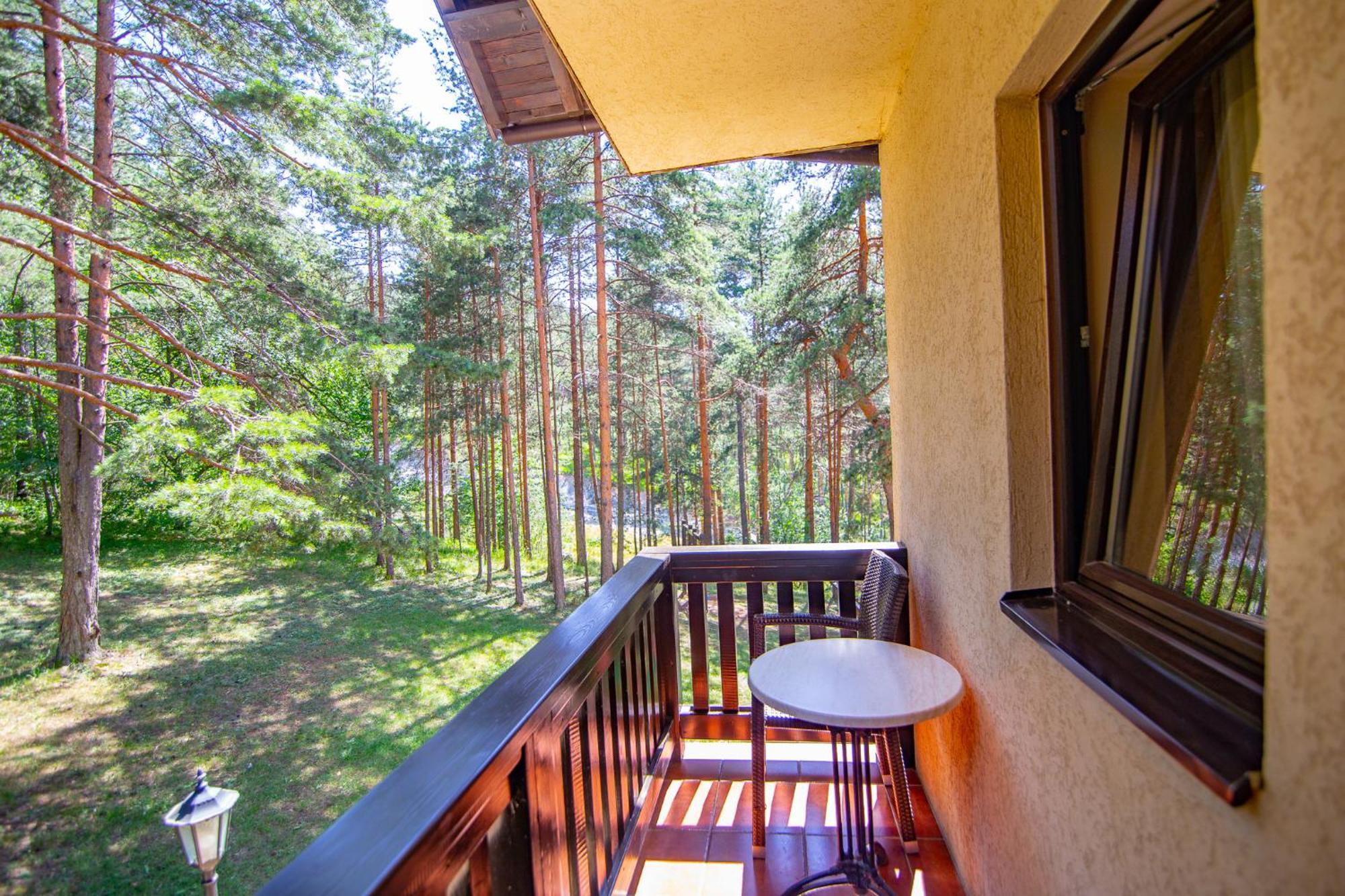 Vila Pina Zlatibor Dış mekan fotoğraf