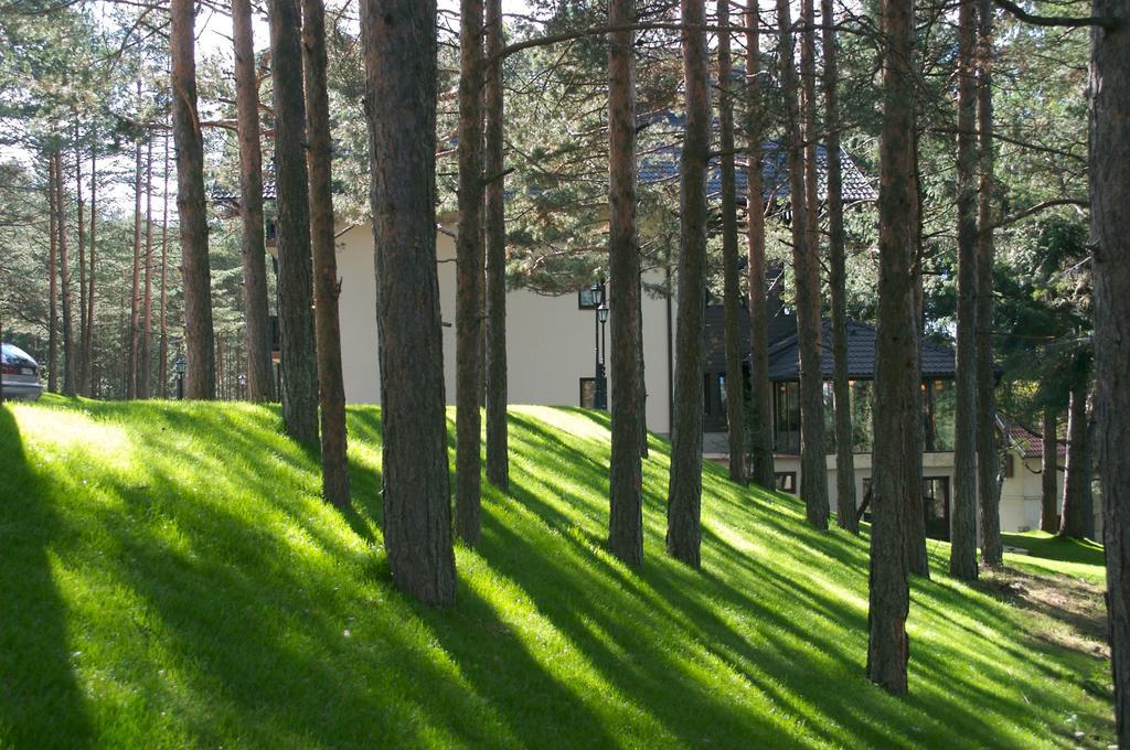 Vila Pina Zlatibor Dış mekan fotoğraf